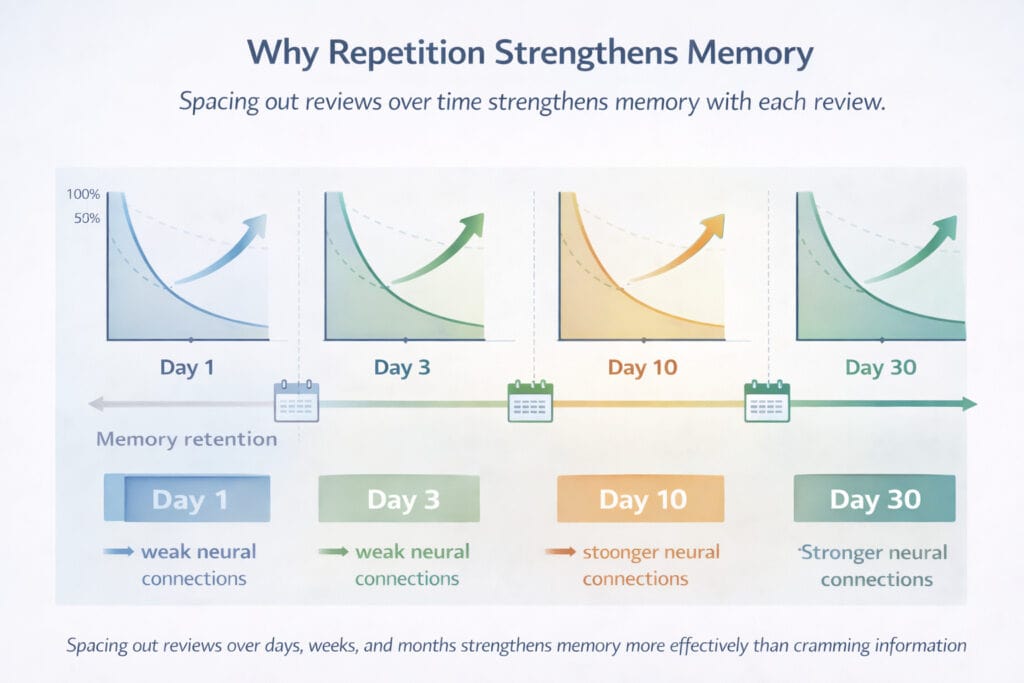 infographic showing the spacing effect in learning where memory strengthens through repetition on day 1 day 3 day 10 and day 30